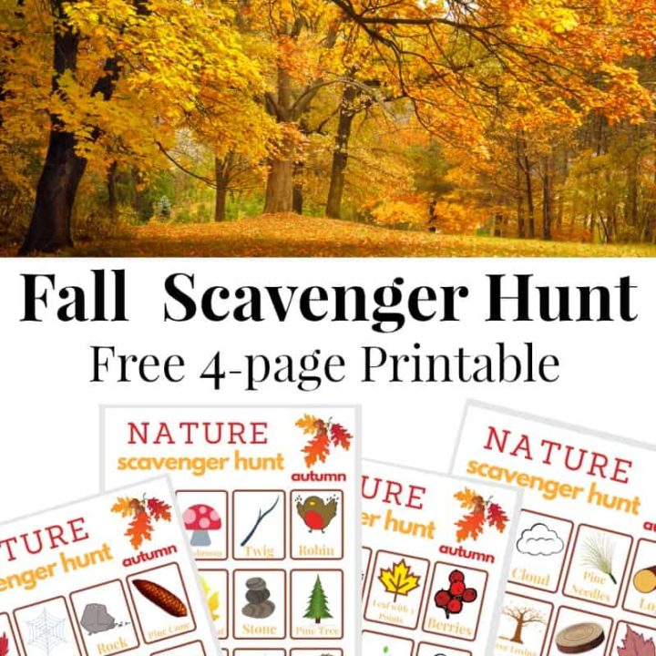 Fall Activities for Kids (Screen Free!)